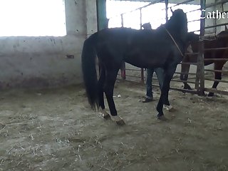 Full X Movies