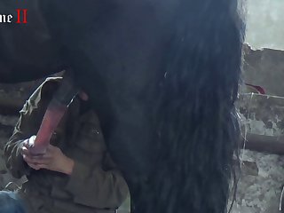 All Hd Videos