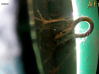 Free Adult Movie Xxx