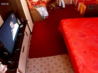 Dog Male Tube