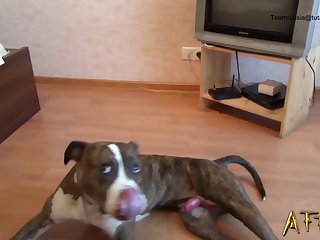 Free P Videos Sexo