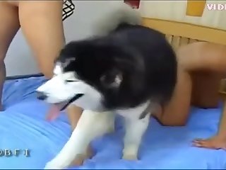 Bj Videos