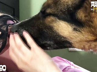 Video Masterbate Dog