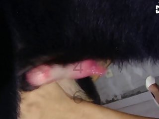 Xnxxc