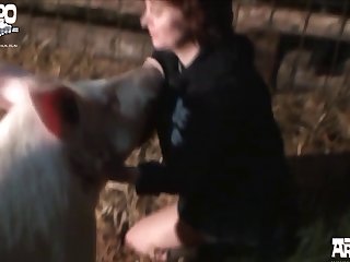 E Porner