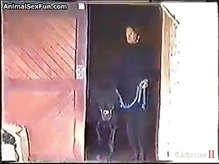 Chat Room For Gay And Dog