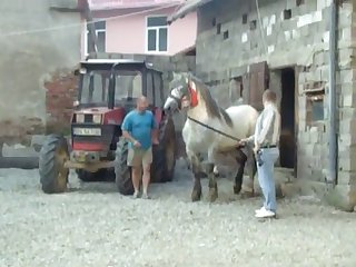 Armasarmonta