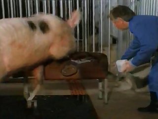 Mating Call Of The Wild Farm Animals