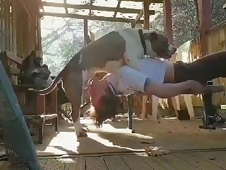 tree dok