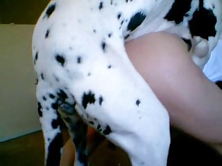 Do Porn Stars Actually Have Sex