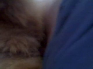 Watching Me And The Other Two Dogs As We Waded Through The High Grass