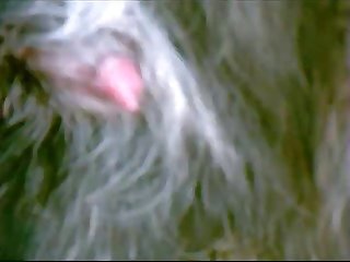 Beastality Porn Movies