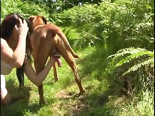 Can I Suck My Dogs Dick