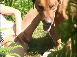 Can I Suck My Dogs Dick