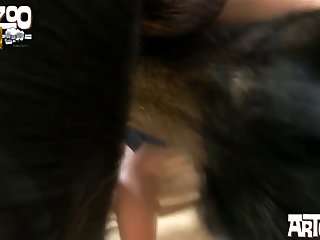 Puppy Beastiality