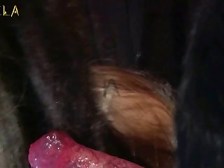 Naruto Animal Path Porn