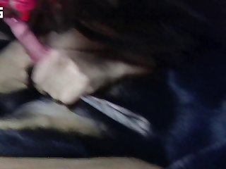I Accidentally Downloaded Animal Porn