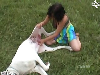 Porn Zoo Hd