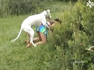 Porn Zoo Hd