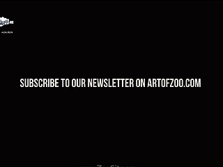 Zoofilia Agresiva