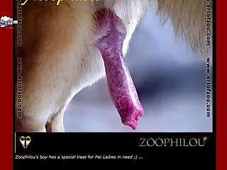 Abotonada Zoofilia