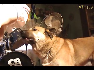 Extreme Pain Torture Porn