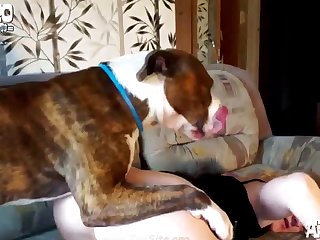 Full Length Animal Sex Videos