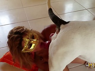 Furry Yiff Ankha Animal Crossing Porn Sex R34 Parody