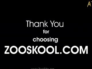 Animal Sex Videos Free