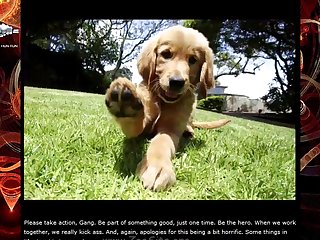 Funny Animal Sex Memes