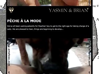 Animal Sex Closeup