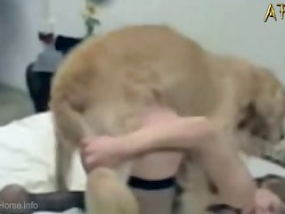 Forum Animal Sex