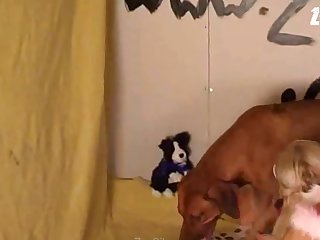 Animal Sex Pigs