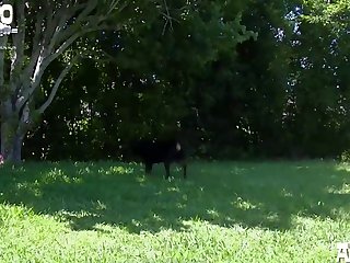 Animal Milf Sex