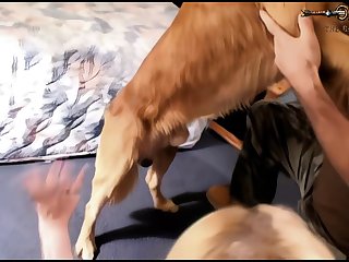 Woman And Animal Sex Stories