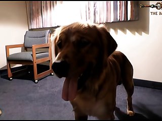 Woman And Animal Sex Stories