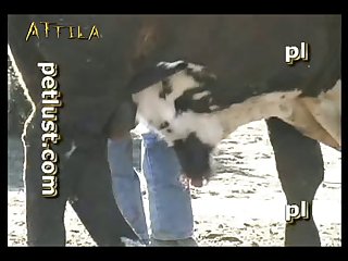 Caiu Na Net Zoofilia