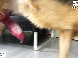 Eric John Porn Xxx Porn