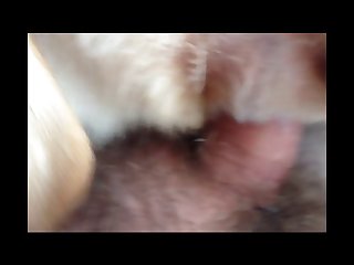 Lux Animal Sex