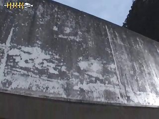 Free Zoo Porn Movies