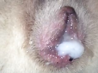 Jill Valentine Zombie Dog Porn
