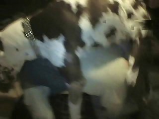 Beautiful Girls Dog Xxx