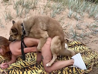 Dog porno mit Free Zoo