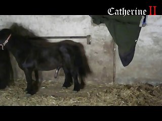 Best Horse Porn Videos Page 1 At Bufazoo Com