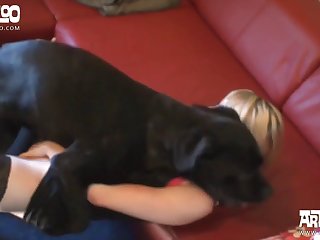 best sexual porn videos page 1 at bufazoo.com