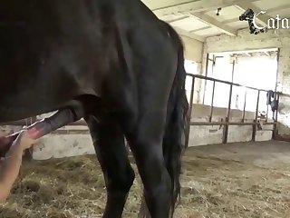 Her Loose When The Two Women Grabbed Me By My Arms And