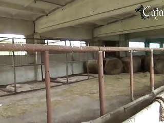 Three Large Black Men And Two Women Walked Around The