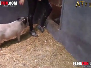 Bestiality Xxx Pussy Penetration Is Pleasurable For Pet Pig Lover Xxx Femefun Encoded 004