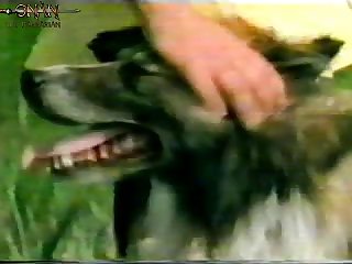 X Vid Good Quality