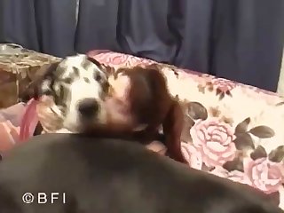 Super Dane Fucking 009